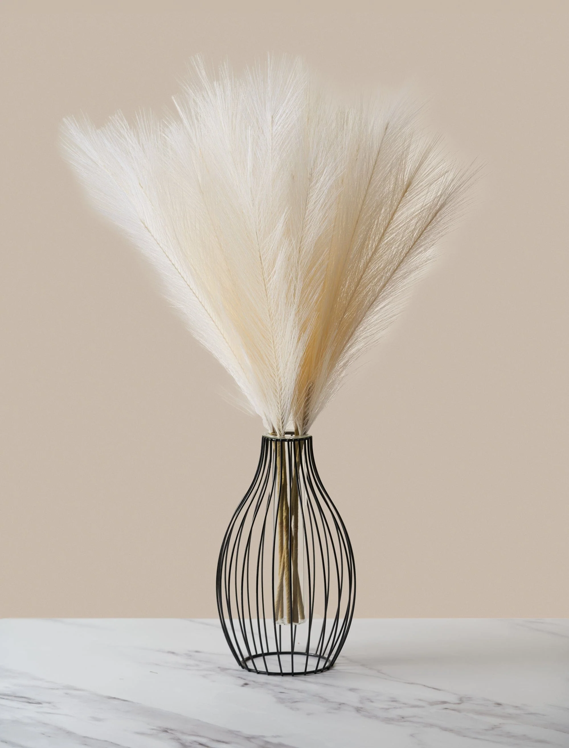 Pampas & Matching Vase Sale